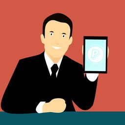 中国篮球联赛品牌建设策略与粉丝经济发展研究，中国国内的篮球联赛简称