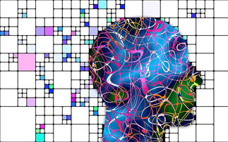 中超球队中前场组织能力等级划分模型，中场 前锋